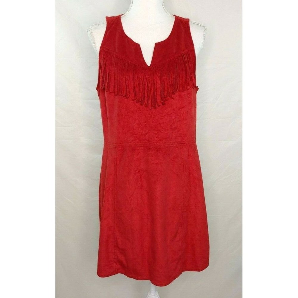 Express Faux Suede Western Boho Fringe Dress